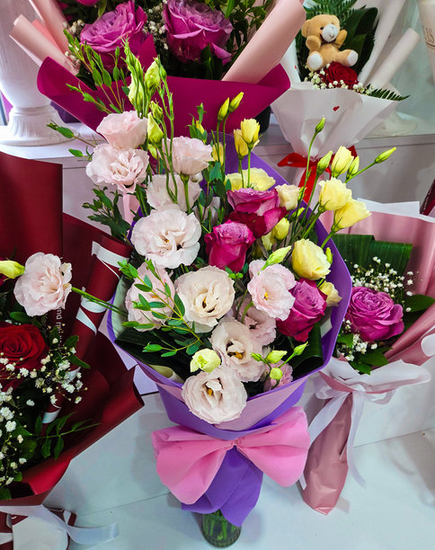 一张照片中的花朵与色彩图片下载