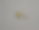 适用于TWS耳塞和蓝牙耳机的多种电池的照片。图片下载