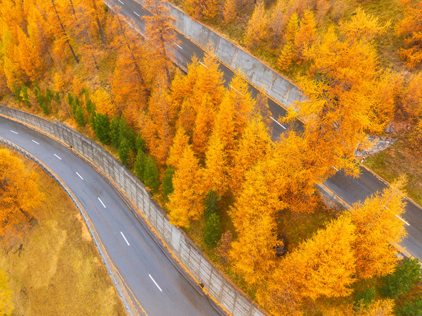 森林中间的多层沥青公路的无人机视角。秋季的空中景观。交通与公路旅行。适合用作背景、壁纸和明信片的照片。图片下载