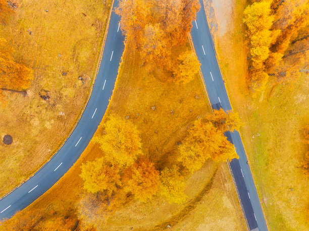 曲折道路的无人机视角。森林中的沥青路。秋季的空中景观。交通与公路旅行。适合用作背景、壁纸和明信片的照片。图片下载