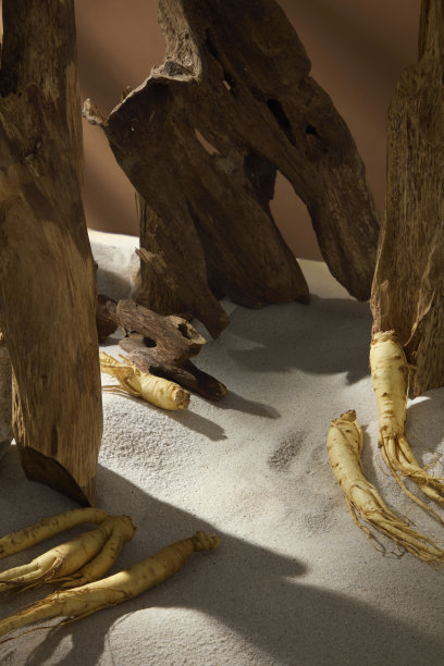 图片展示了人参根在垂直木框内自然排列，暗示着韧性和扎根的疗愈。用于含有人参成分产品的广告照片。图片下载