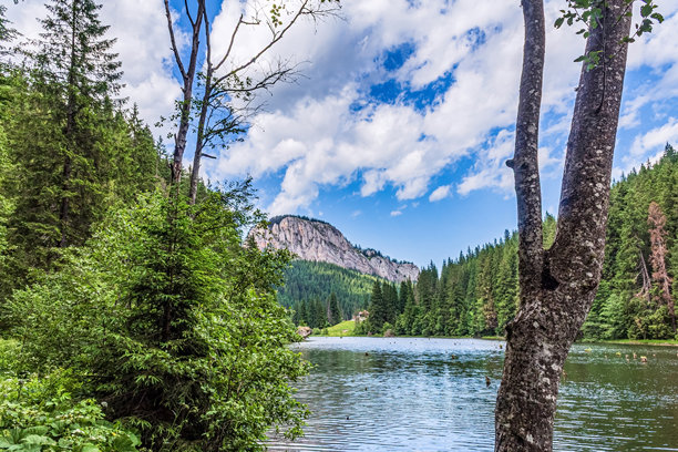 风景，森林，喀尔巴阡山脉，自然照片 - 欧洲，东欧图片下载