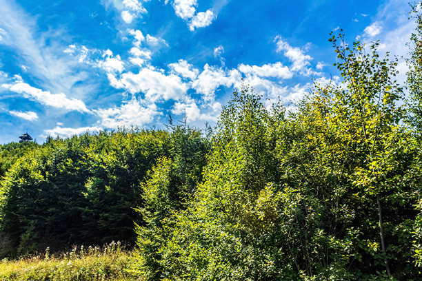 风景，森林，喀尔巴阡山脉，自然照片 - 欧洲，东欧图片下载