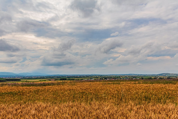 风景，森林，喀尔巴阡山脉，自然照片 - 欧洲，东欧图片下载