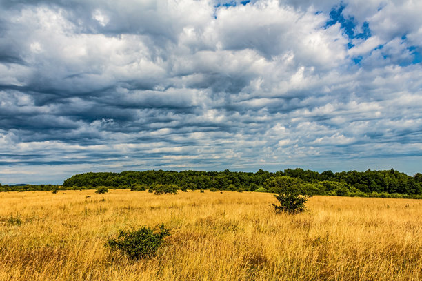 风景，森林，喀尔巴阡山脉，自然照片 - 欧洲，东欧图片下载
