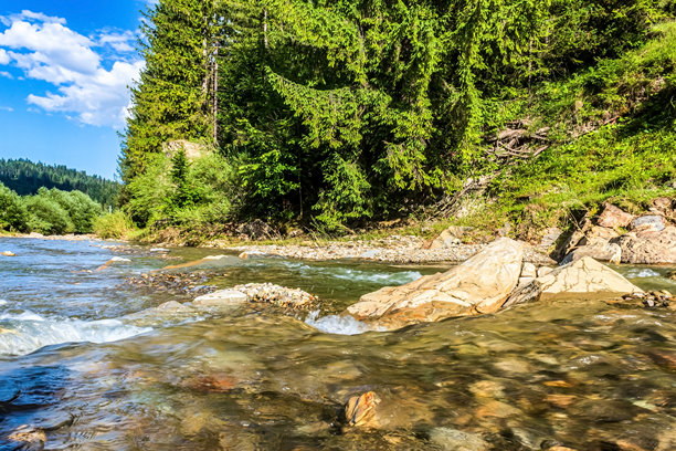 风景，森林，喀尔巴阡山脉，自然照片 - 欧洲，东欧图片下载