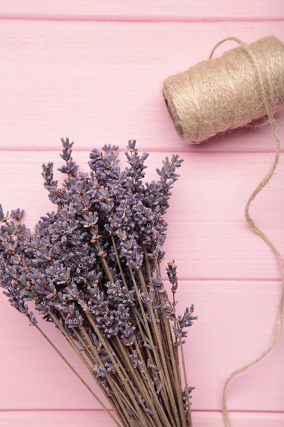 干燥的薰衣草束用粗麻绳绑在粉色木背景上。竖版照片图片下载