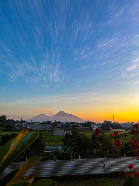 这张美丽的风景照片捕捉了山脉上壮观的日出，色彩斑斓的云彩和郁郁葱葱的前景植物。图片下载