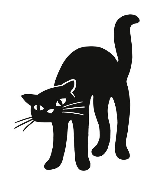 黑色的猫图片下载