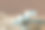 秋季芦苇场景，带有产品展示的讲台。3D渲染。图片下载
