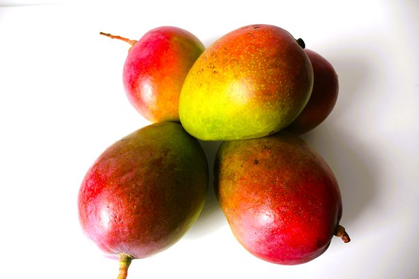 美丽而独特的构图，展示美味的成熟热带芒果。健康有机食品概念。照片背景为白色，带有明显的阴影，并留有文字空间。图片下载