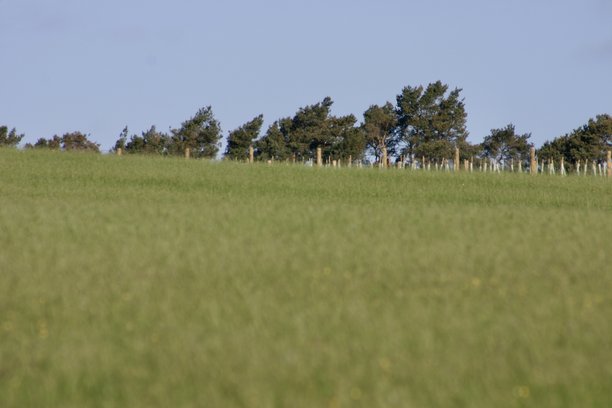 远处有门，广阔的绿野，宁静的乡村风光。这张图片传达了乡村生活的简约，强调了自然与宁静。图片下载