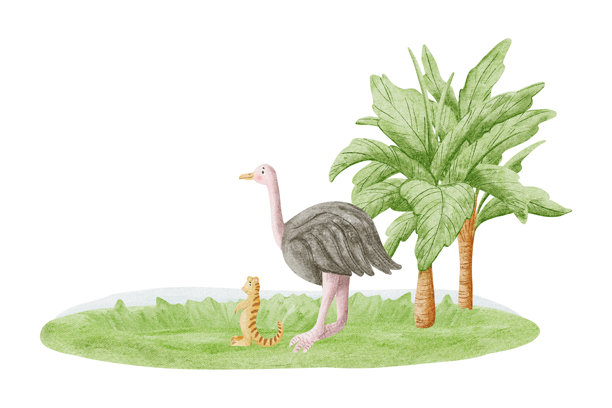可爱的鸵鸟和猫鼬与棕榈树水彩插画，孤立在白色背景上。非洲稀树草原鸟类和动物剪贴画，采用儿童风格，适合托儿所设计。儿童野生动物园蜡笔画，采用柔和色彩。图片下载