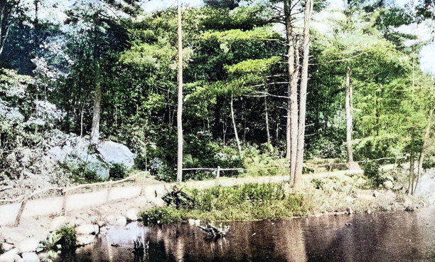 老照片：马萨诸塞州林恩市森林公园图片下载