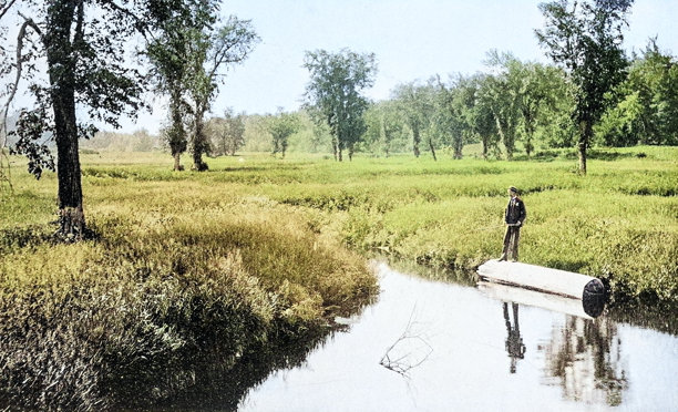 老照片：迪赛特山岛和马萨诸塞州草甸图片下载