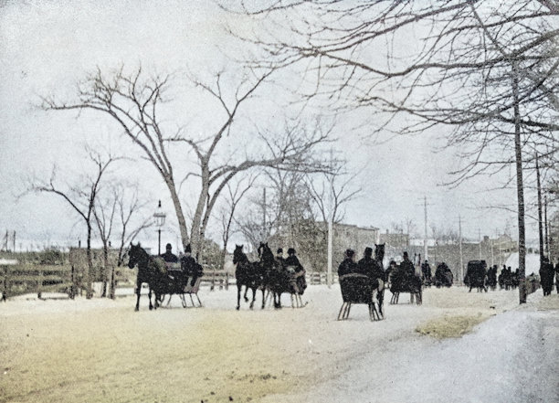 老照片：马拉雪橇图片下载