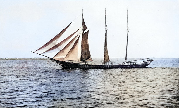 古董照片：帆船图片下载