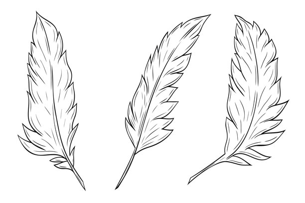 一套精美的羽毛水墨画剪贴画，矢量图形插画。羽毛轮廓图，孤立在白色背景上。图片下载
