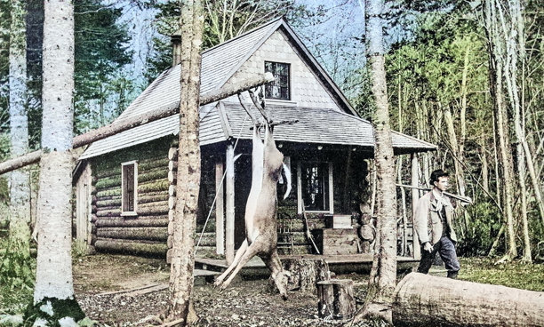 老照片：缅因州森林图片下载