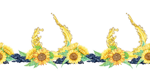 无缝边框，水平无尽图案，装饰，横幅，模板。向日葵花头，盛开的植物。一堆有机葵花籽，健康食品。手绘水彩插画图片下载