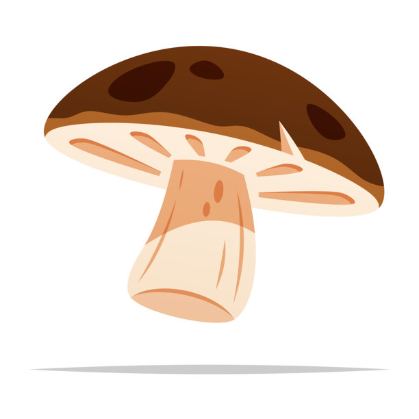 野生蘑菇矢量图，孤立的插图图片下载