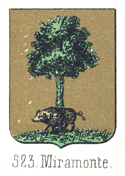 中世纪纹章，纹章，盾牌，野猪，绿色，树，金色，西班牙，复古插画图片下载