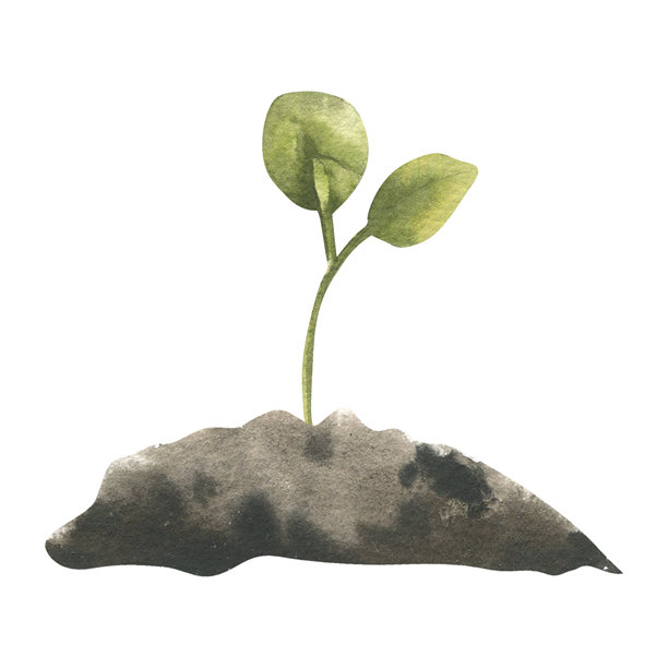 春季首次播种土壤水彩插画。手绘绿植剪贴画，用于种子包装、乡村花园海报、卡片、生态生活和爱好杂志或书籍设计的园艺元素。图片下载