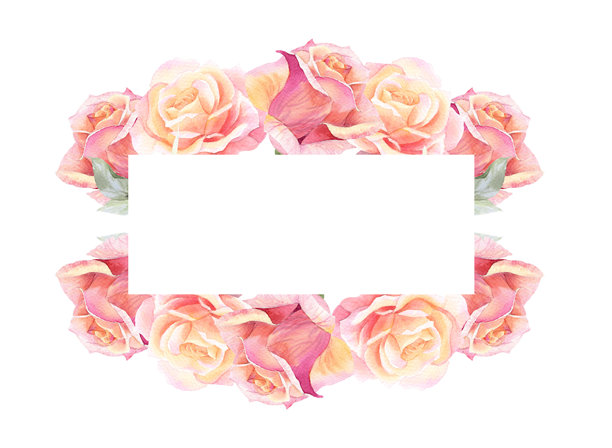 玫瑰花蕾的横幅。水彩手工插画。用于包装设计、卡片、封面、印刷品、产品标签和织物。图片下载