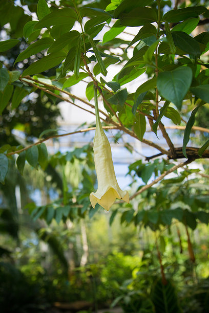 花园图片，浪漫景观，极限运动和温泉。图片下载