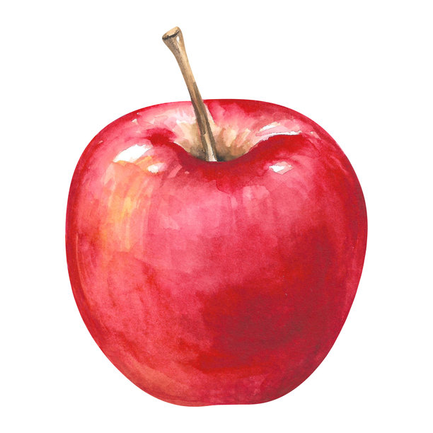 手绘水彩风格的苹果插画，红色，新鲜采摘，成熟，孤立在白色背景上。多汁多彩的剪贴画素材，适用于花园、秋季、收获、乡村、食品设计、包装、菜单等。图片下载