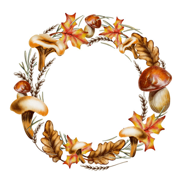 秋季圆形花环，包含蘑菇、枫叶、橡树叶、麦穗和松针。手绘野生动物插画，用于装饰卡片，孤立在透明背景上。图片下载