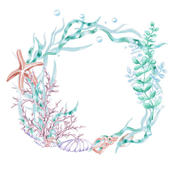 海藻中的珊瑚、海星和贝壳组成的圆形画框。适用于儿童室内装饰、化妆品、贺卡设计和主题节日的海洋生物水彩插画，孤立的。图片下载