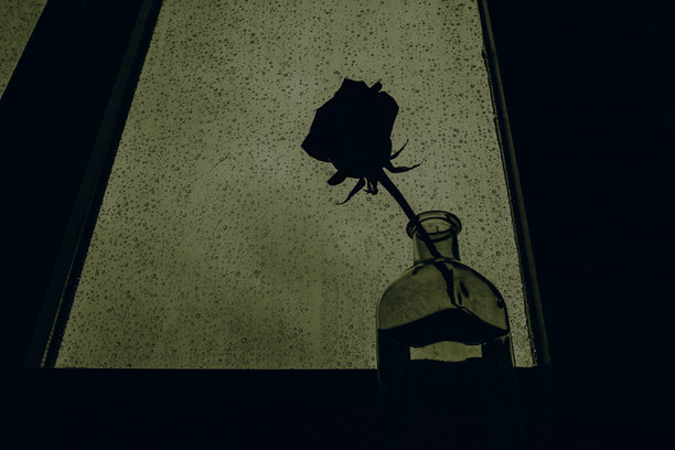 雨滴透过窗户，玻璃花瓶中单支玫瑰的剪影。一张富有情绪、艺术感的照片，以雨痕斑驳的窗户为背景，衬托出玫瑰花蕾的剪影，营造出戏剧性的忧郁氛围。图片下载