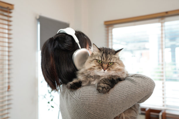 close up of gentle young asian woman hugging cute cat in living room at home图片下载