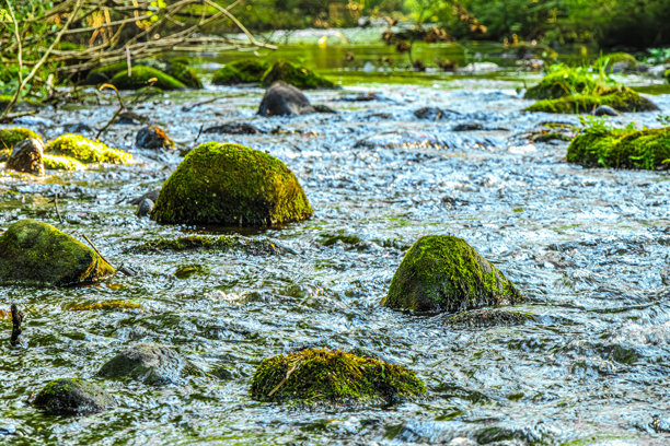 法国南部阿尔河的风景照片。图片下载