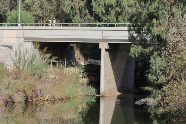 公园里的河上桥梁，照片特写图片下载