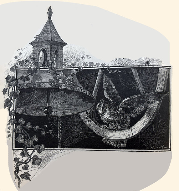 古董插画 - 一只猫头鹰坐在一个大钟旁边，钟里面有蜘蛛网。图片下载