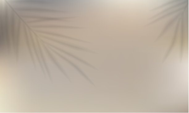 米色背景，带有逼真的棕榈叶阴影。米色赭色渐变墙壁，带有叶子阴影。抽象的模糊米色色块营造出流畅而平静的背景。图片下载