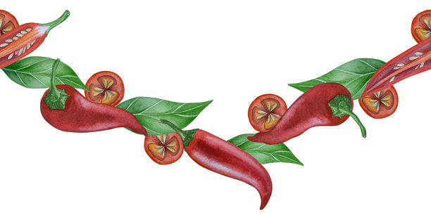 包装设计、餐厅菜单、厨房等用途的，带有绿叶的辣味蔬菜的植物学水彩手绘插画，展示了完整和切开的红辣椒，孤立在白色背景上。图片下载