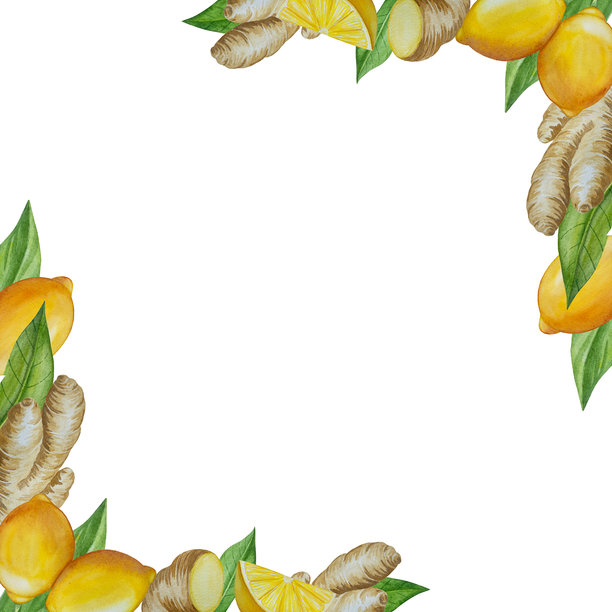 水彩插画，描绘了香料姜，包括半个姜、叶子和切片。手绘插画，孤立在白色背景上。用于食品设计的姜根。厨房香草和香料。图片下载