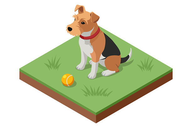 草地上一只坐着的狗和球的等距插画。家养宠物训练、服从、忠诚和玩耍的生活方式概念。图片下载