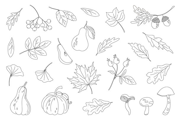秋季落叶、水果、蔬菜的自然素描，简约线条艺术风格。秋收元素。轮廓涂鸦，抗压。手绘黑白矢量插画。图片下载