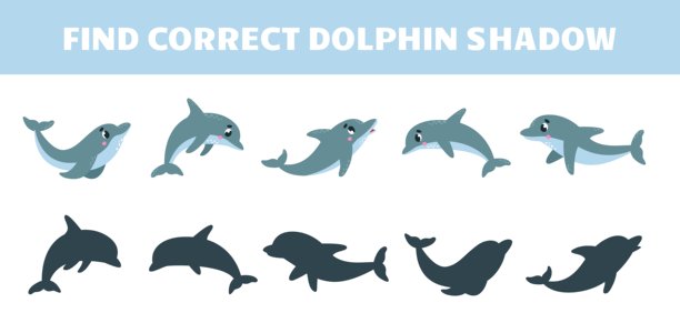 寻找正确的海豚影子游戏模板。有趣的卡通海豚，各种姿势的海洋动物。儿童教育发展游戏，矢量插画图片下载