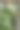 摆放着绿色盆栽和装饰品的架子。亲生命性室内设计概念，将自然融入生活空间，用绿色植物改善家居和办公环境。图片下载