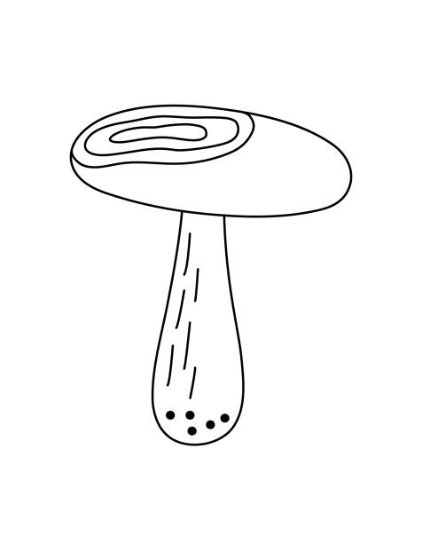 蘑菇、毒菌，季节性的万圣节矢量插画，描绘了不可食用的仙女、魔法奇幻蘑菇的剪贴画，适合秋季节日，采用简约的极简主义手绘涂鸦风格，巫术符号。图片下载