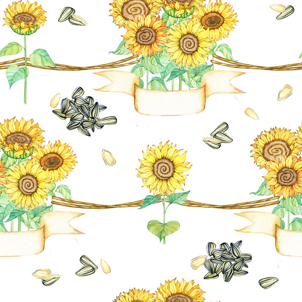 无缝图案背景。无限背景模板。带茎和叶子的向日葵花，植物。黑色条纹有机向日葵种子，丝带，文本区域，价格标签，标志，复制空间图片下载