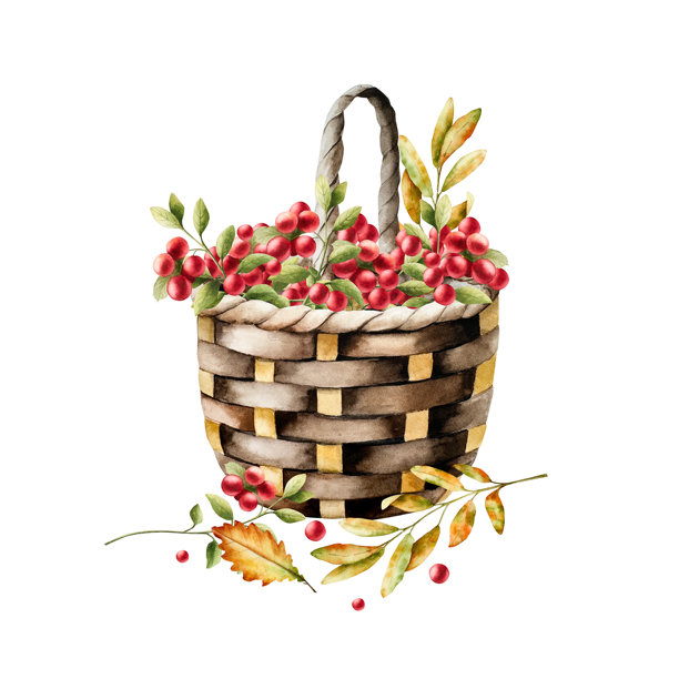 装满蔓越莓、越橘和秋叶的柳条篮，水彩手绘的红熟浆果，孤立的插画。质朴的农舍风格，非常适合丰收、储藏或厨房装饰主题。适合小屋、波西米亚风或乡村风格的复古容器。图片下载