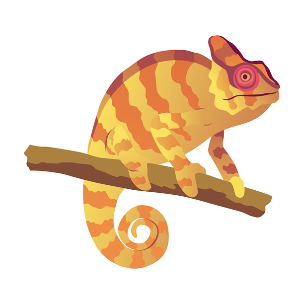 变色龙蜥蜴。具有弯曲尾巴和伪装皮肤的爬行动物，热带野生动物。异国情调的动物矢量插画图片下载