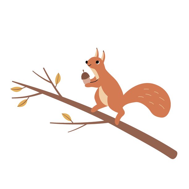 秋日氛围，一只快乐的松鼠手捧着橡子站在树上。矢量插画。图片下载