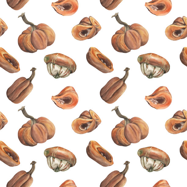 整南瓜、葫芦、蘑菇和切片南瓜的水彩无缝图案。适用于感恩节、秋季装饰、包装纸、厨房纺织品和季节性产品的秋季丰收插画。图片下载